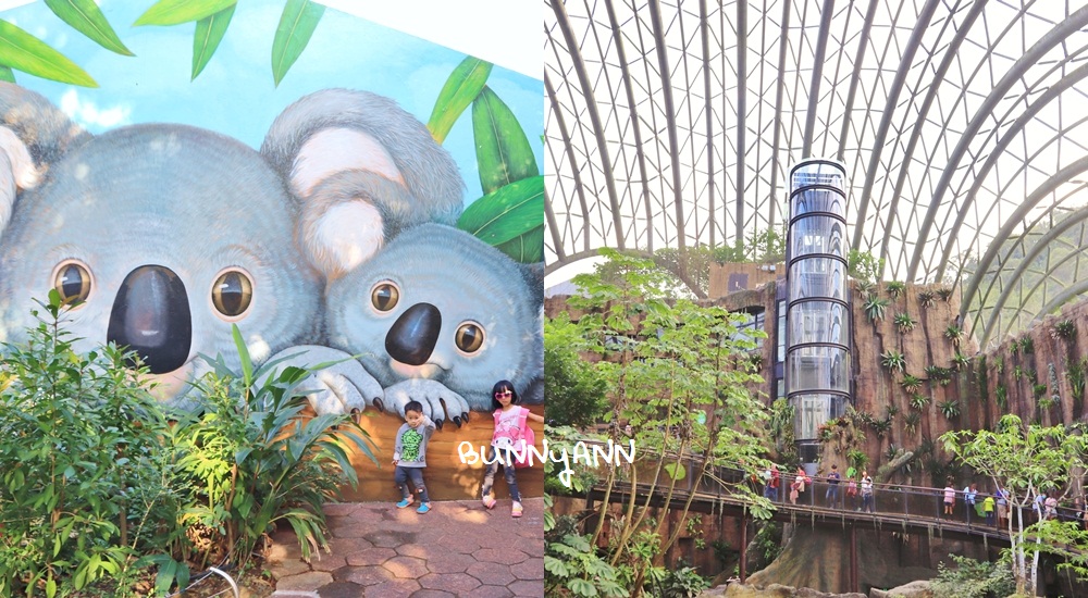 台北木柵動物園，穿山甲館森林天空步道、水藍海底隧道好好拍