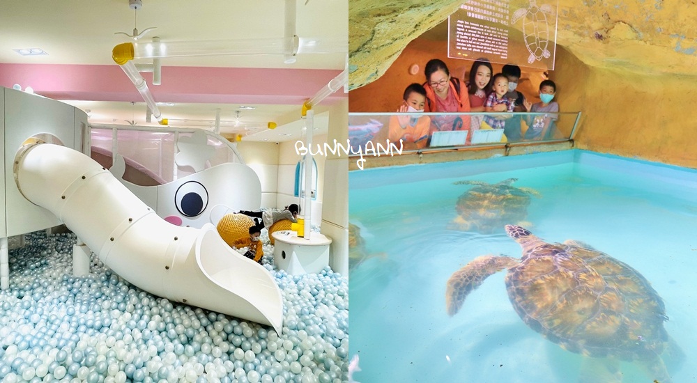 新北》來跟海豚親親！野柳海洋公園洞穴水族館，北部唯一海星觸摸池、真人高空跳水，放假就來這玩！