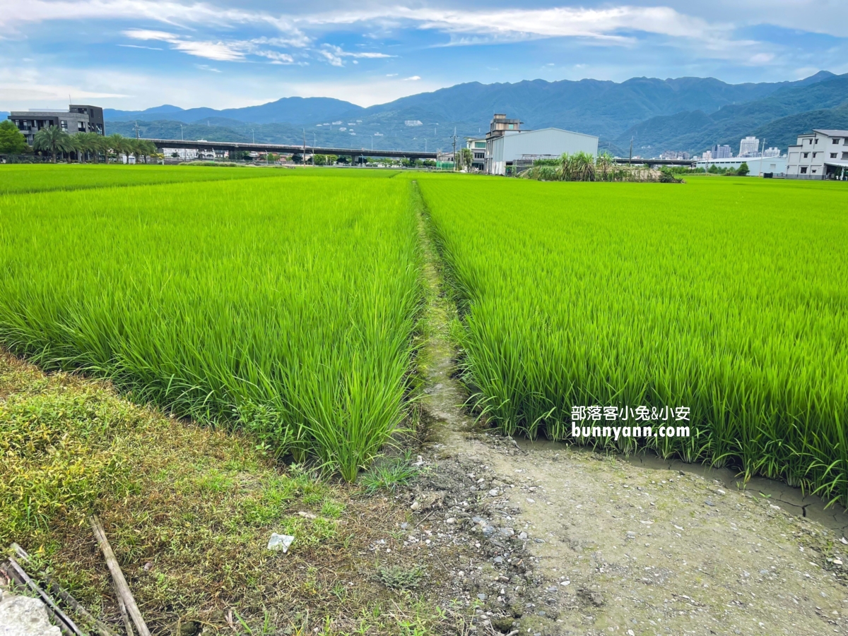 【聯全麻糬手作概念館】幫你找到能玩麻糬DIY地方，免門票參觀真棒