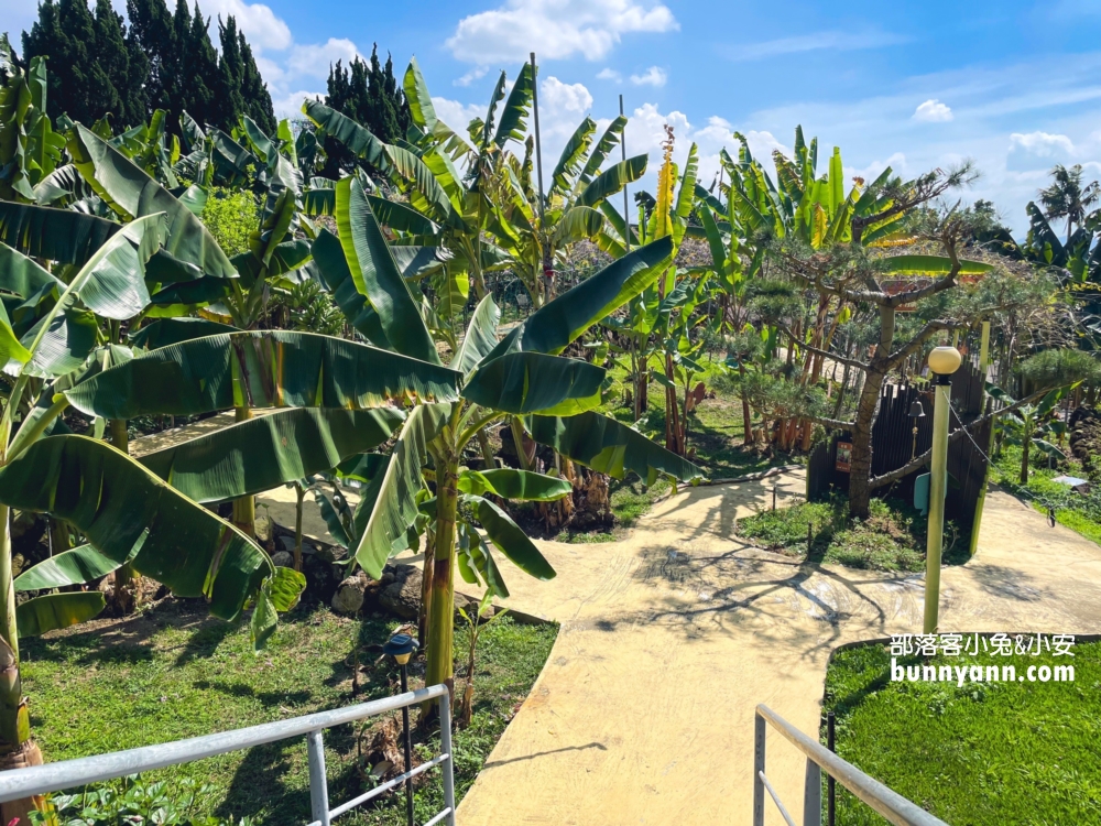 南投jijibanana集元果觀光工廠，好吃好玩免門票的香蕉樂園。