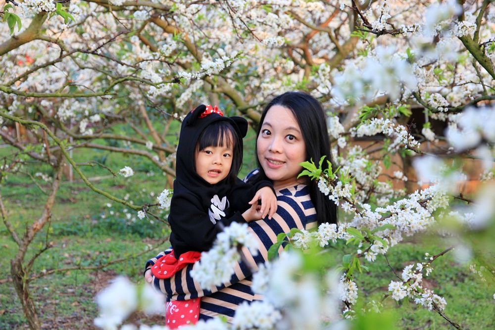 台中賞花秘境 | 豐原公老坪李花雪白世界，季節限定色美到讓人忘記煩憂~