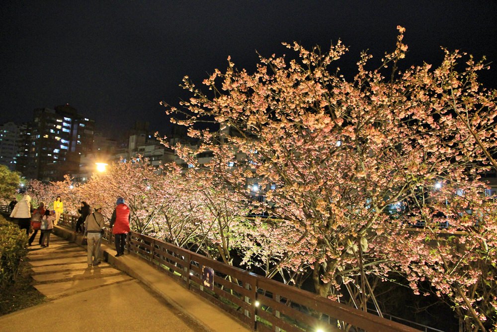 台北櫻花季 | 東湖樂活公園夜櫻粉紅風暴，河畔櫻花林越夜越浪漫~