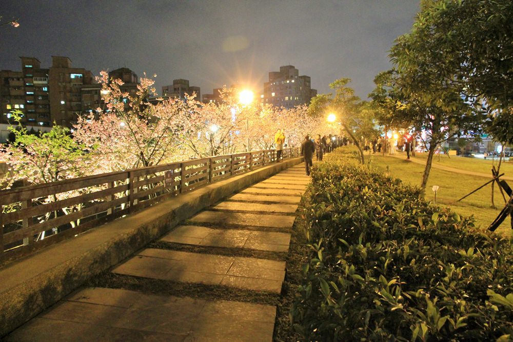 台北櫻花季 | 東湖樂活公園夜櫻粉紅風暴，河畔櫻花林越夜越浪漫~