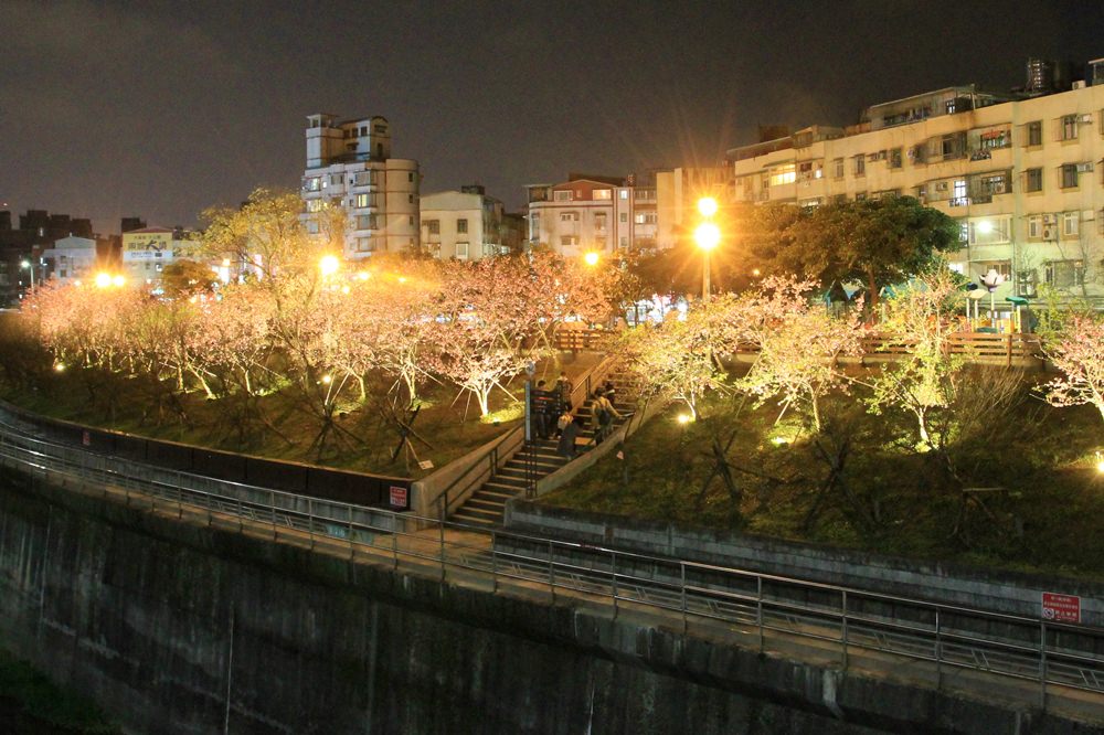 台北櫻花季 | 東湖樂活公園夜櫻粉紅風暴，河畔櫻花林越夜越浪漫~