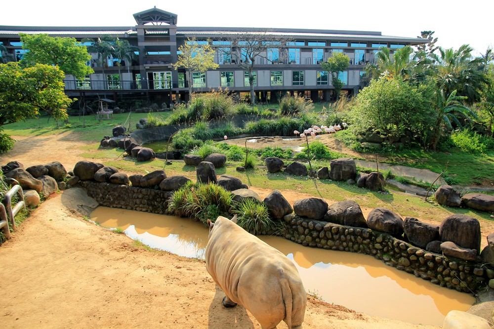 六福莊生態度假旅館雷不雷？動物園裡住一晚，長頸鹿、狐猴超可愛~