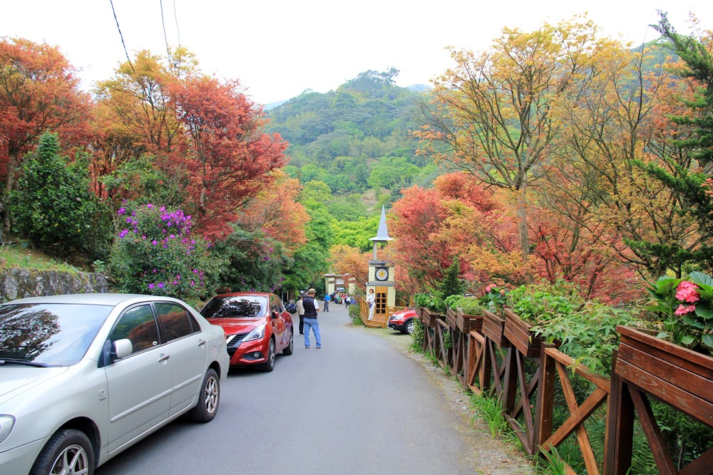 台北陽明山奧萬大樂活莊園，賞楓紅最佳景點，門票資訊介紹!!