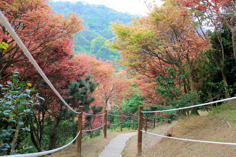 台北陽明山奧萬大樂活莊園，賞楓紅最佳景點，門票資訊介紹!!