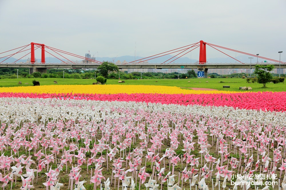 板橋新約會點 | 江翠礫間水岸蝴蝶公園，走進浪漫星空隧道、九萬隻風車組的夢幻大地景色！