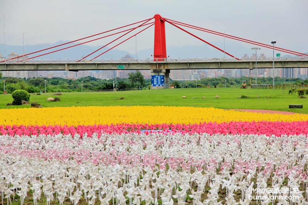 板橋新約會點 | 江翠礫間水岸蝴蝶公園，走進浪漫星空隧道、九萬隻風車組的夢幻大地景色！