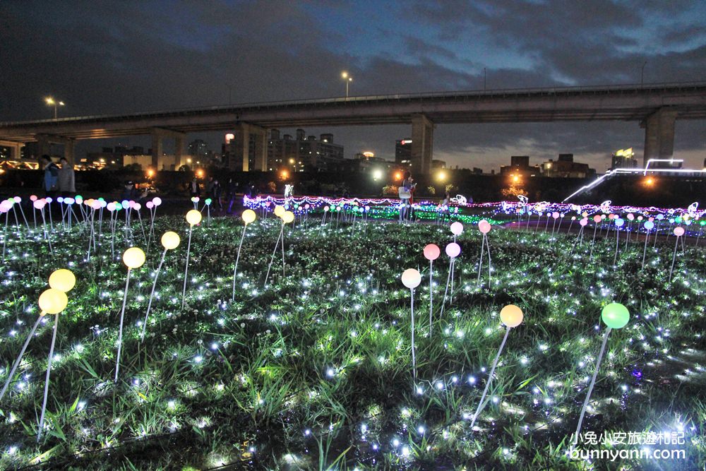 板橋新約會點 | 江翠礫間水岸蝴蝶公園，走進浪漫星空隧道、九萬隻風車組的夢幻大地景色！