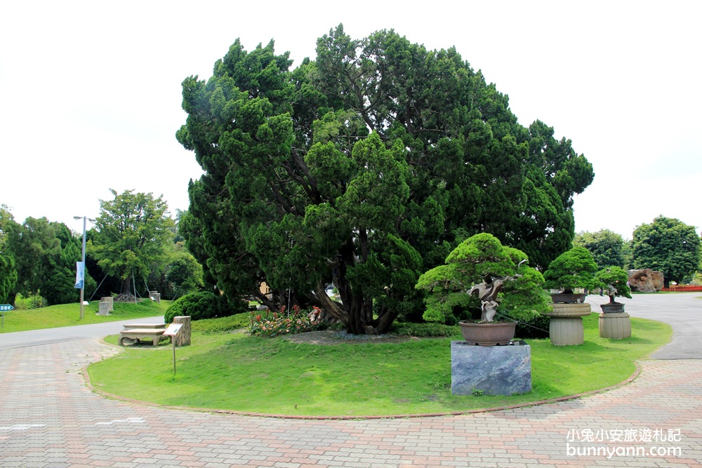 2024彰化【萬景藝苑】台版兼六園，還有親子樂園一票玩到底。