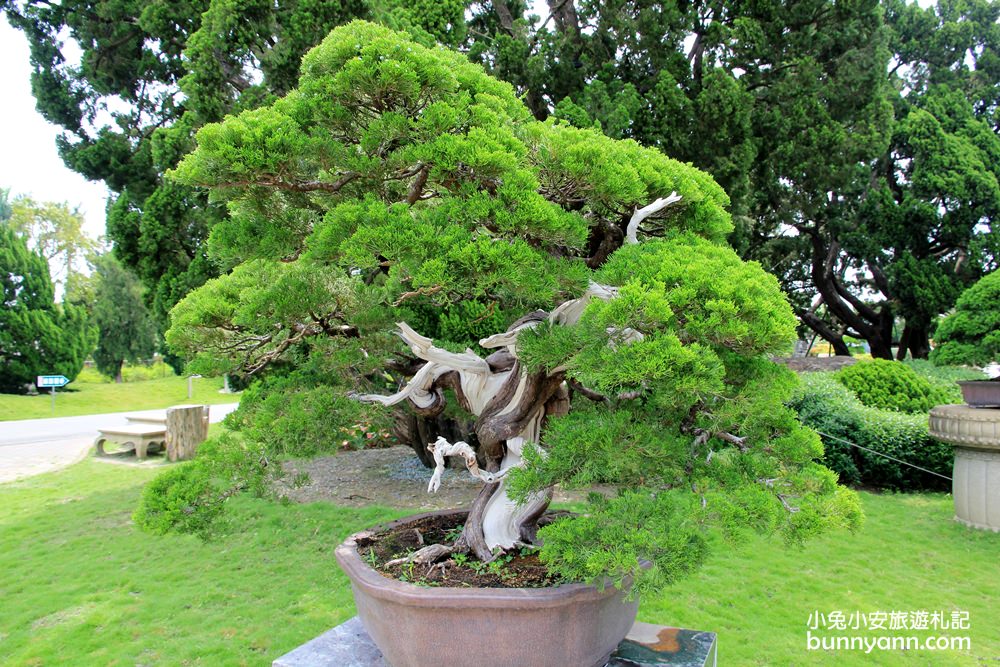 2024彰化【萬景藝苑】台版兼六園，還有親子樂園一票玩到底。