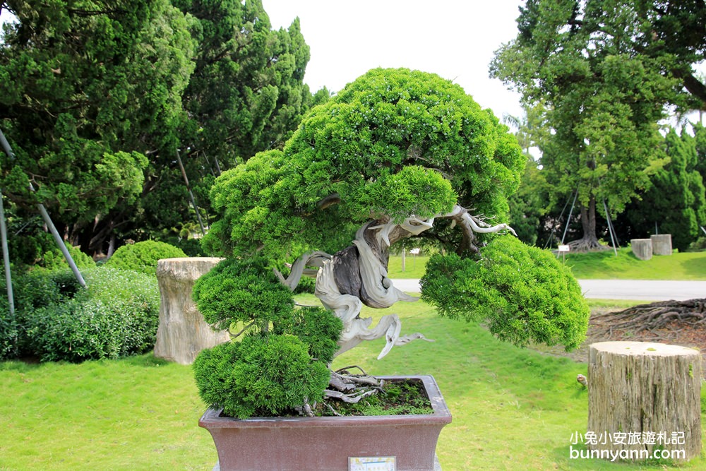 2024彰化【萬景藝苑】台版兼六園，還有親子樂園一票玩到底。