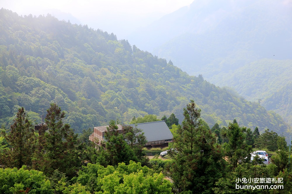 宜蘭太平山莊紅葉隧道，夏季超美火紅紫葉槭韻染翠綠山嵐