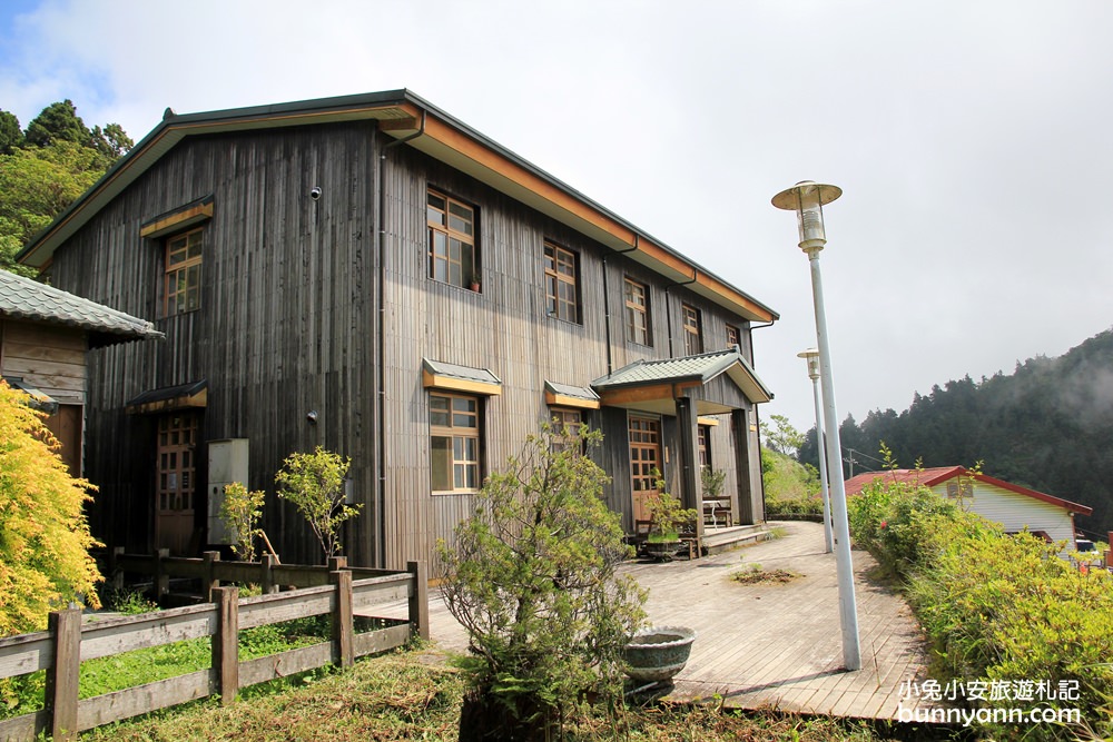 宜蘭太平山莊紅葉隧道，夏季超美火紅紫葉槭韻染翠綠山嵐