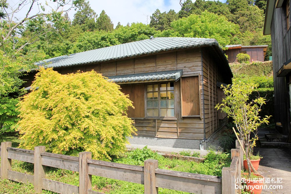 宜蘭太平山莊紅葉隧道，夏季超美火紅紫葉槭韻染翠綠山嵐