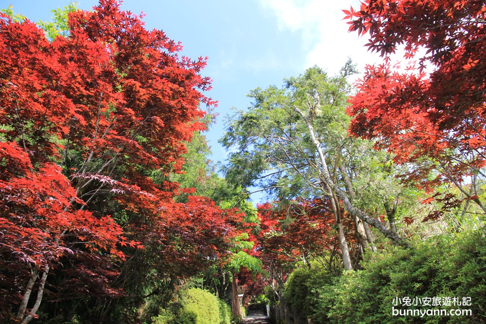 太平山紅葉