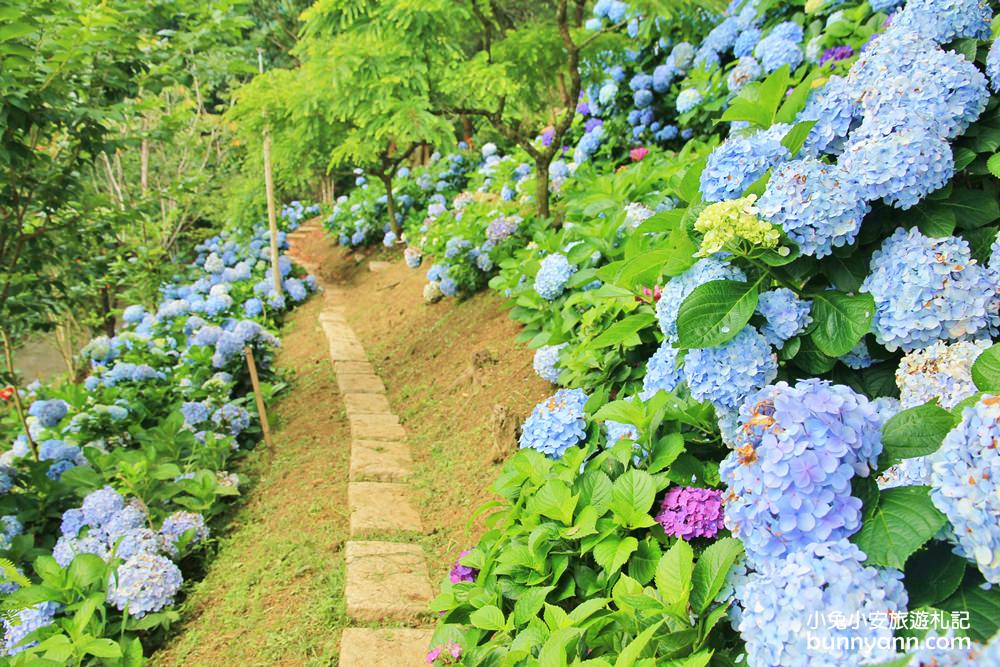 【杉林松境休閒農場】躲在南庄山區的美麗花園(門票介紹)