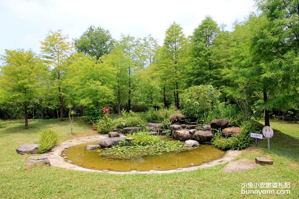 苗栗天空之城｜長滿藤蔓綠境天空之城，門票交通住宿推薦