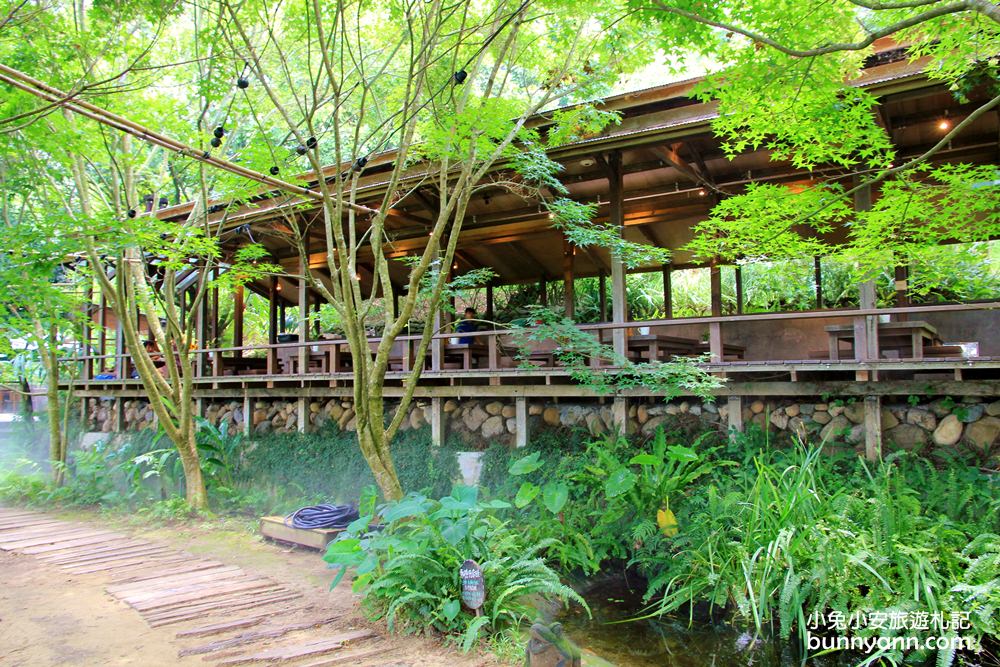 苗栗天空之城｜長滿藤蔓綠境天空之城，門票交通住宿推薦