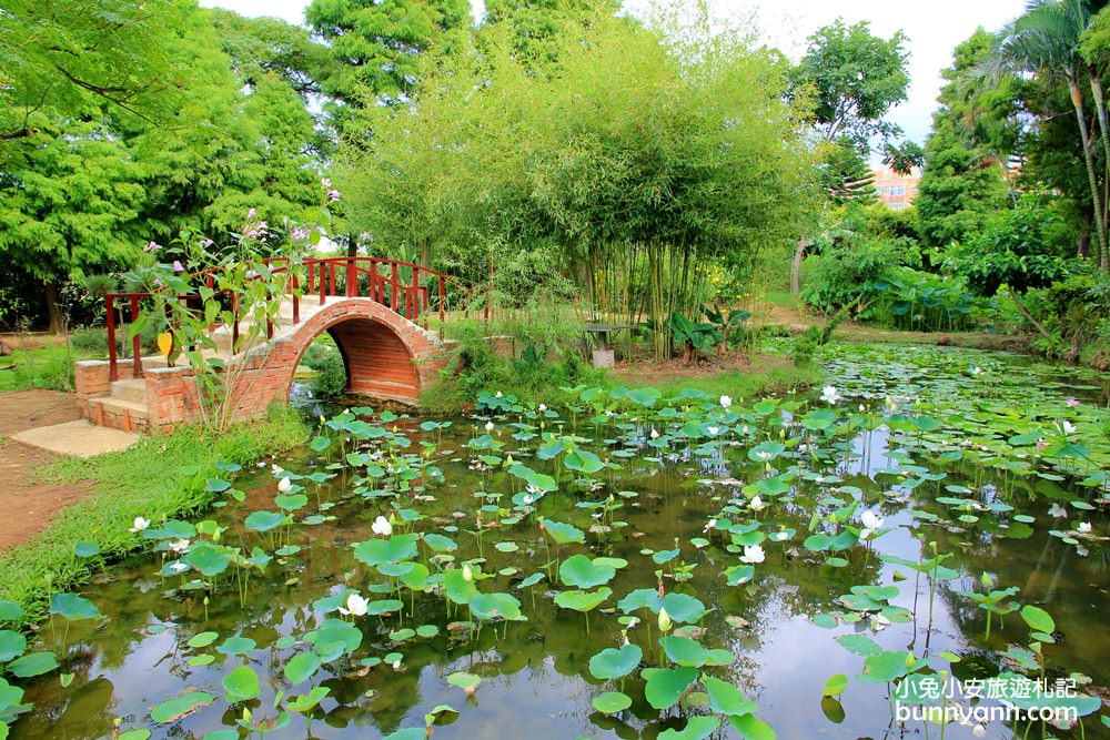 桃園景點》蓮荷園休閒農場，水上漂浮大王蓮，來當一日睡美人～