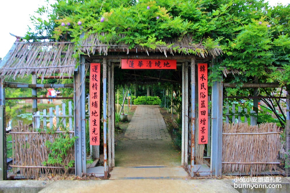 桃園景點》蓮荷園休閒農場，水上漂浮大王蓮，來當一日睡美人～