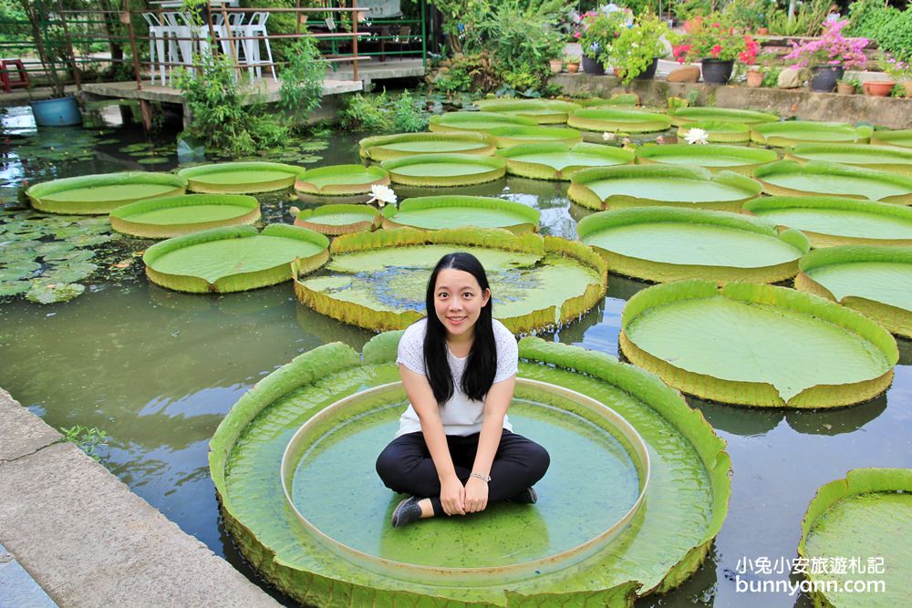 桃園景點》康莊蓮園漂浮大王蓮，走進借物少女艾莉緹世界中～