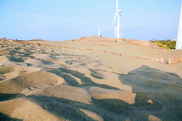 桃園一日遊》免費玩~佔地超廣地景花園、向日葵農場、最美日本町、撒哈拉沙漠一日遊趣~