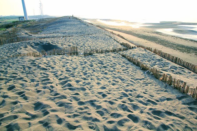 桃園一日遊》免費玩~佔地超廣地景花園、向日葵農場、最美日本町、撒哈拉沙漠一日遊趣~