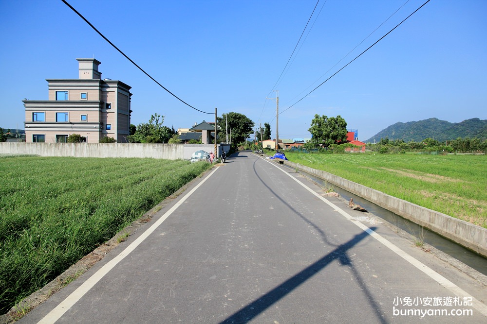 桃園韭菜花》大溪中新里韭菜花田，浪漫鄉間小路九月雪景，美麗韭菜花季盛開中~