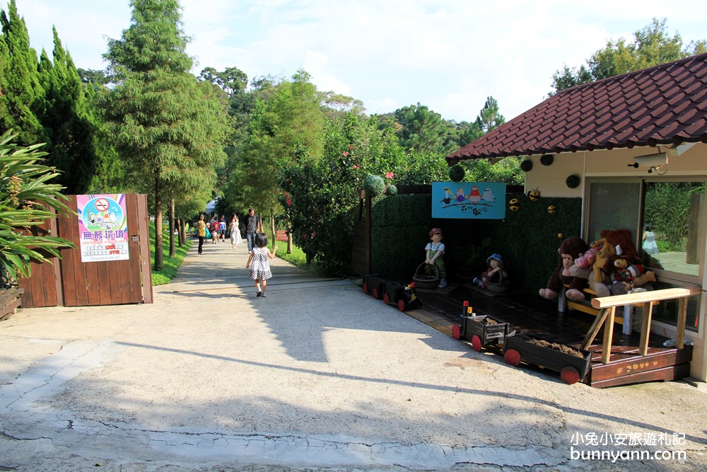 新埔森林鳥花園(已歇業)，超長森林溜滑梯、大樹屋、戲水池整個玩翻天~