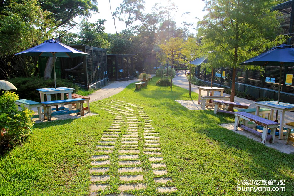 新埔森林鳥花園(已歇業)，超長森林溜滑梯、大樹屋、戲水池整個玩翻天~