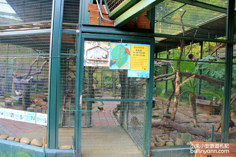 新埔森林鳥花園(已歇業)，超長森林溜滑梯、大樹屋、戲水池整個玩翻天~