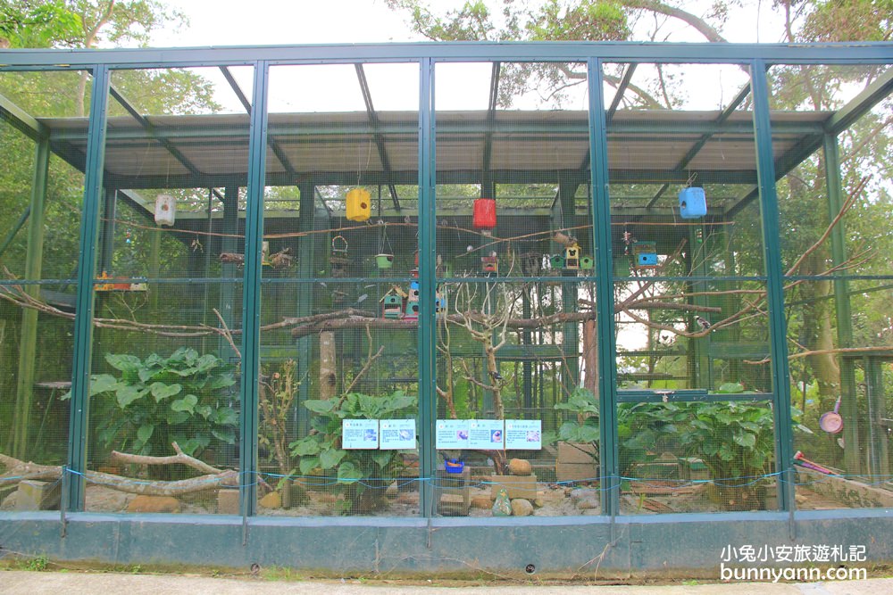 新埔森林鳥花園(已歇業)，超長森林溜滑梯、大樹屋、戲水池整個玩翻天~