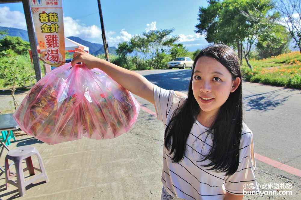 花蓮金針花季》六十石山金針花海，來看最美金色大地花毯，一期一會美到像仙境。