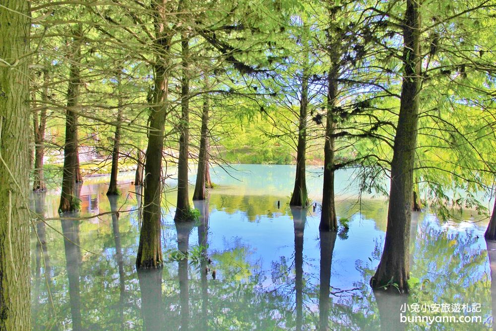 花蓮雲山水夢幻湖，暢遊跳石步道與蒂芬妮藍湖景，交通、環境全攻略。