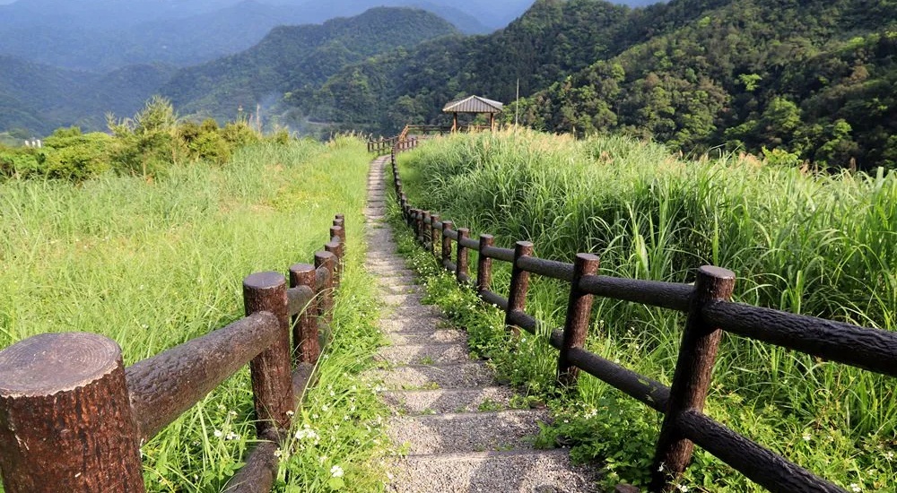 坪林南山寺仙公廟，獅公髻尾山步道眺望茶園與山嵐 @小兔小安*旅遊札記