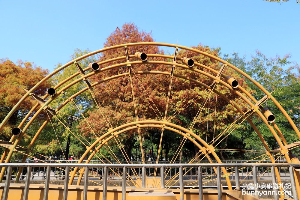 雲林落羽松》林內農田水利文物陳列館落羽松，火紅水道落羽松、遇見冬季浪漫美景～