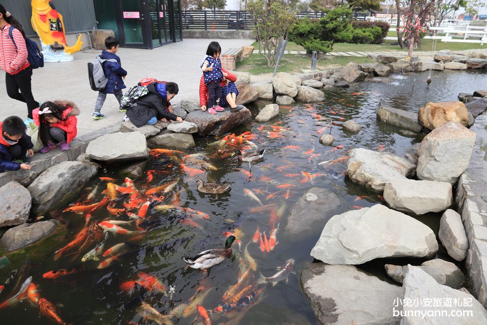 雲林景點》千巧谷牛樂園牧場，五星級牧牛場，餵牛牛吃草超有趣