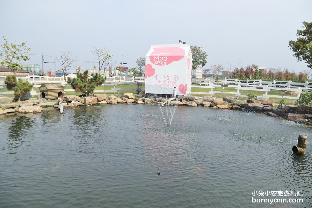 【雲林景點】千巧谷牛樂園牧場 五星級牧牛場，餵牛牛吃草超有趣