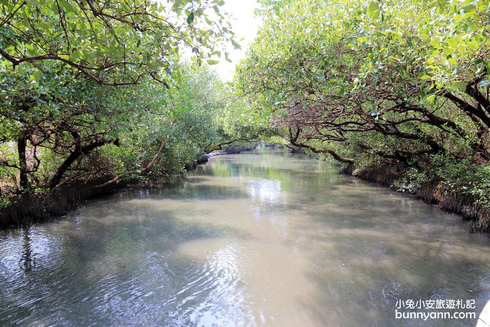 台南景點》四草綠色隧道，絕美台版迷你亞馬遜河，乘竹筏漫遊水上綠色隧道~