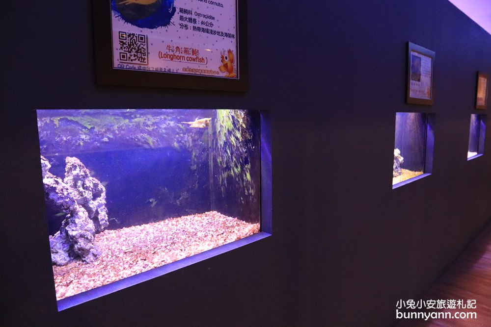 宜蘭【金車生技水產養殖研發中心】餵鯊魚吃飯超酷