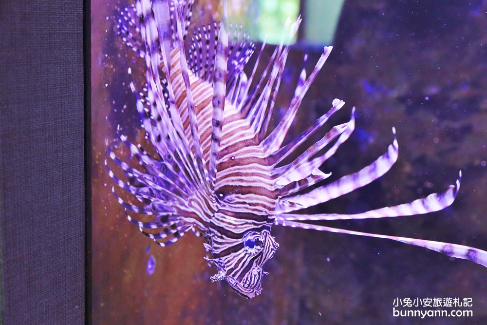 宜蘭【金車生技水產養殖研發中心】餵鯊魚吃飯超酷