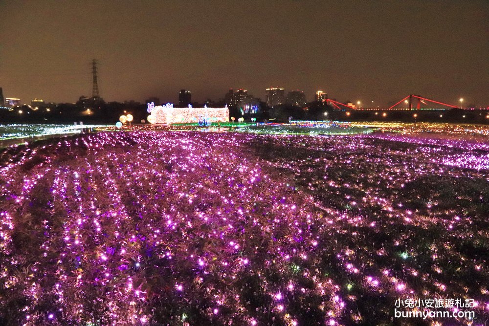 新北景點》板橋江翠礫間水岸蝴蝶公園，美拍星空隧道、閃亮亮光雕地景~