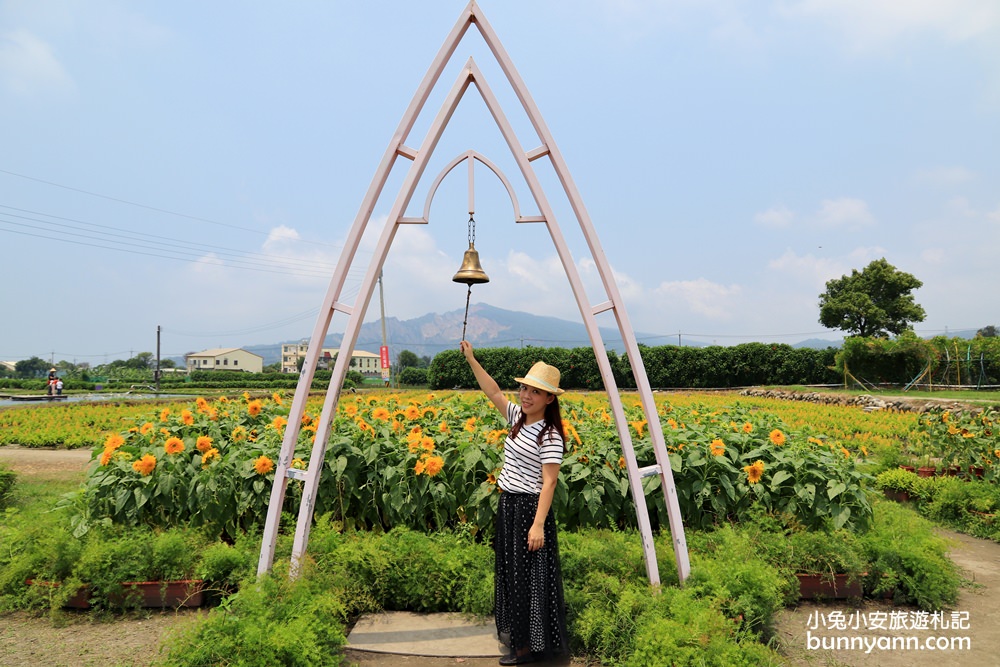 2023中社花市詳細介紹，浪漫紫色鼠尾草花田、台中最美景點!!