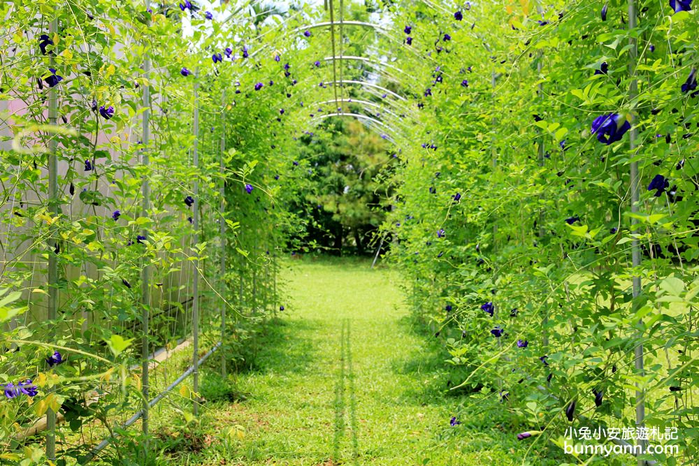 嘉義景點》幸福山丘happyhill，小山丘上的貨櫃屋，藍天下眺望嘉義美景