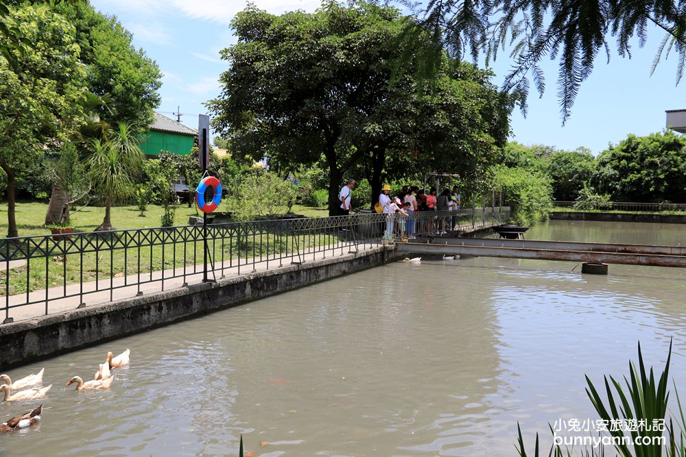 宜蘭景點》宜農牧場，150元就能餵豬、餵羊、餵小白兔，宜蘭CP值最高牧羊場！