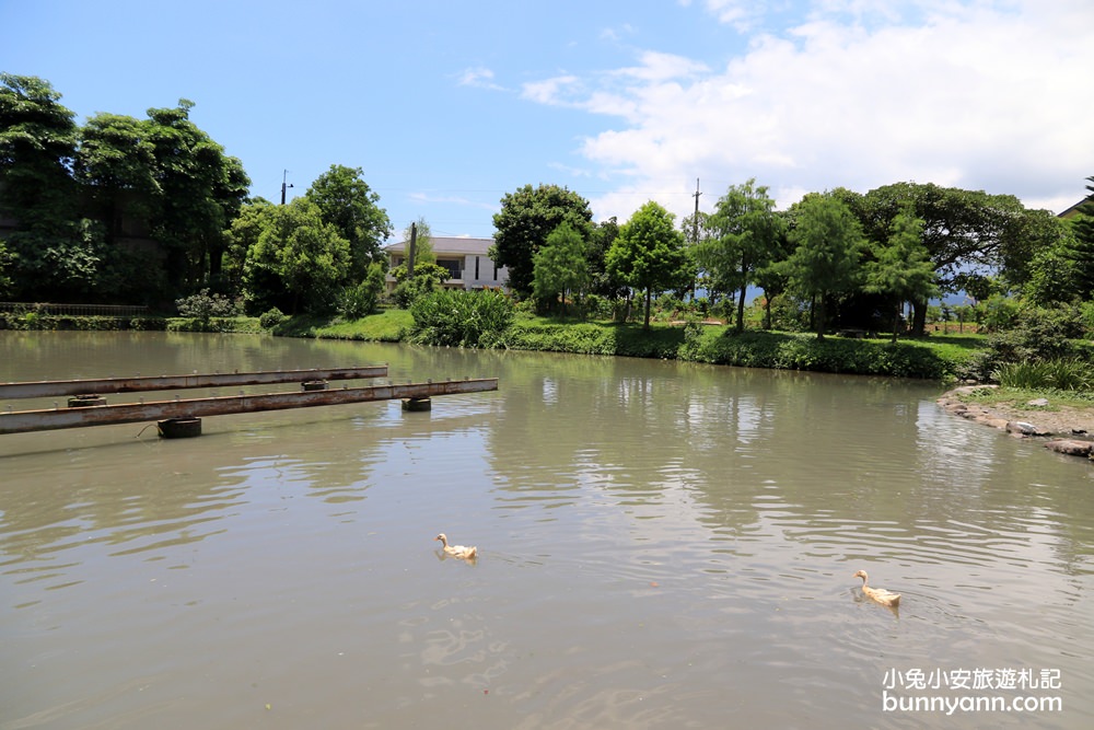 宜蘭景點》宜農牧場，150元就能餵豬、餵羊、餵小白兔，宜蘭CP值最高牧羊場！