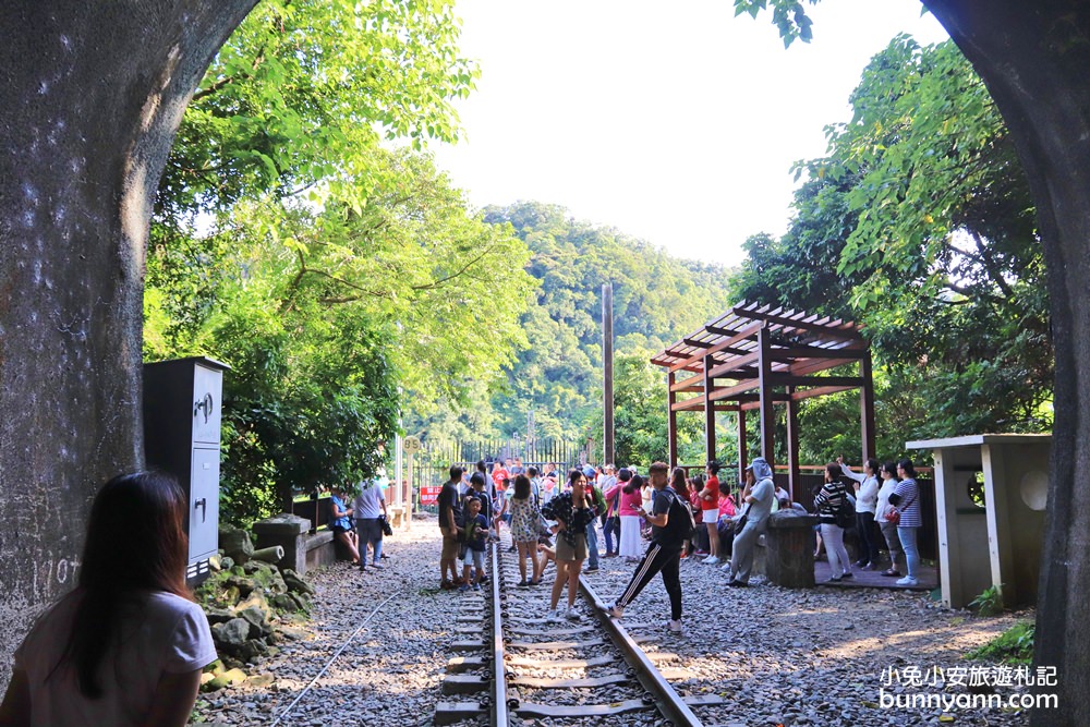 苗栗舊山線鐵道自行車，推薦必踩路線，山谷鐵軌鋼橋無限美