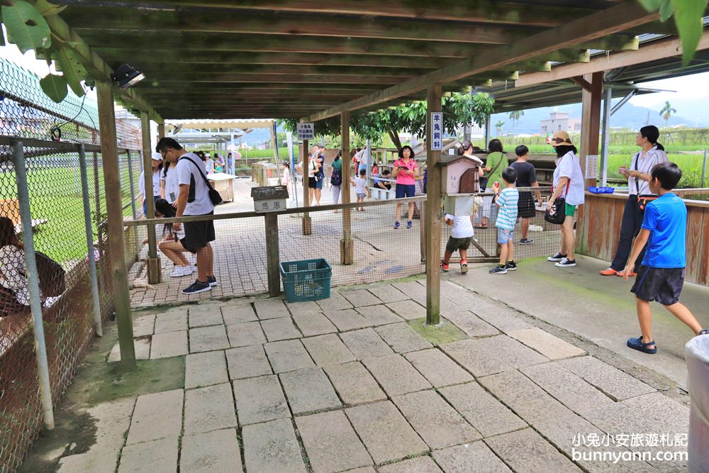 苗栗景點》棗莊可愛動物庭園，免費玩迷你農場，親子沙坑與美麗田野風光~